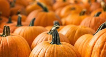 Important Benefits of Pumpkin for Diabetes Patients During Winters