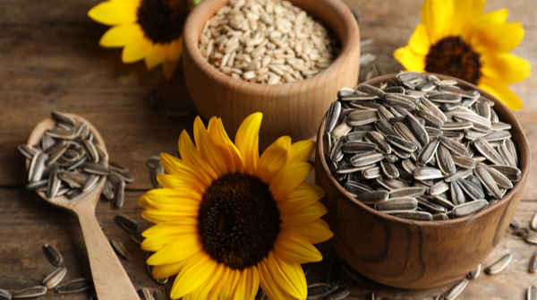 sunflower seeds