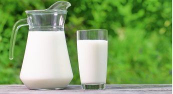 Important Benefits of Milk for People With Diabetes
