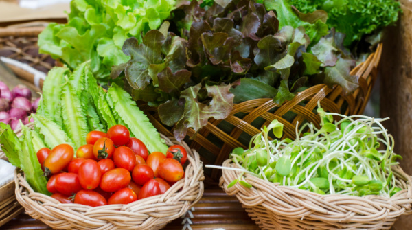 best food for diabetes control