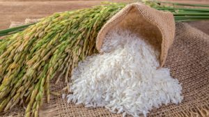 rice and wheat alternatives