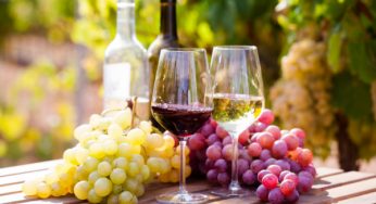 Is Wine Suitable For People Having Diabetes? 