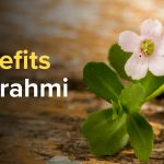 Benefits of Brahmi