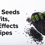 sabja seeds benefits