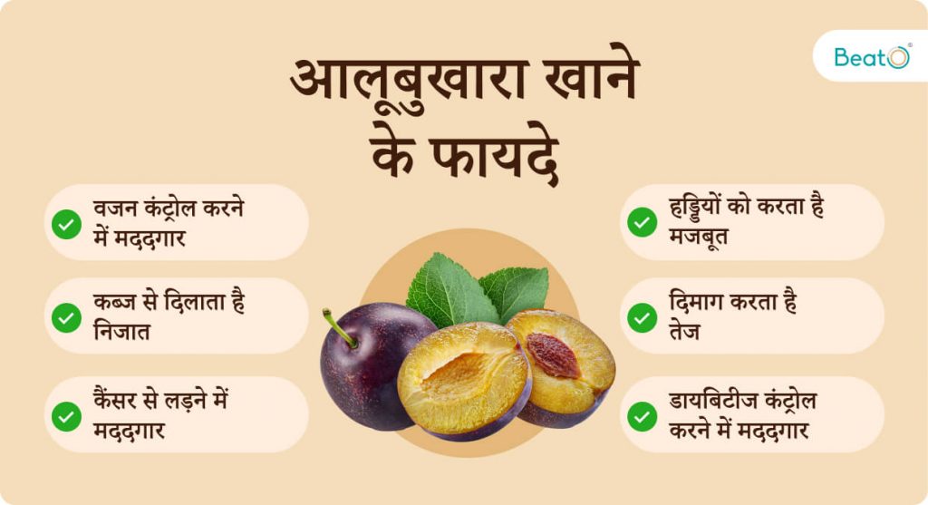 Benefits of Plum Fruit in Hindi डायबिटीज से लेकर वजन कंट्रोल करने तक