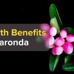 Karonda benefits