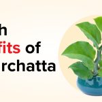 health benefits of Patharchatta