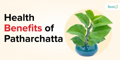 health benefits of Patharchatta