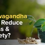 ashwagandha benefits