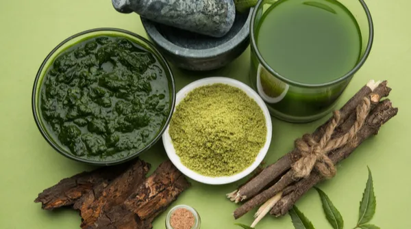 ayurvedic medicine for diabetics