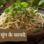 अंकुरित मूंग के फायदे&nbsp;