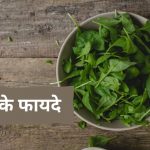 पालक के फायदे