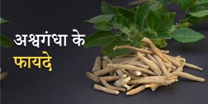 Benefits of Fig in Hindi: बाल होंगे मजबूत और हड्डियां फौलादी, जानिए