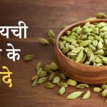 Benefits of Cardamom