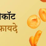 apricot ke fayde