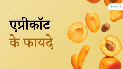 apricot ke fayde