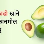 avocado ke fayde
