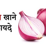 प्याज खाने के फायदे